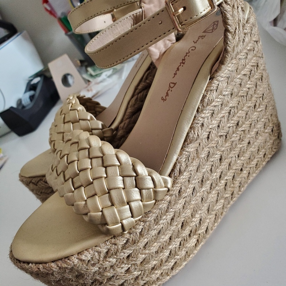 Platform, Plataformas